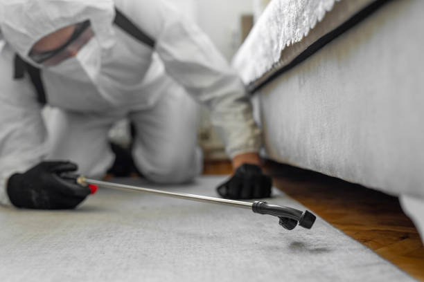 Professional Wasp Control technician working in South San Jose Hills, CA