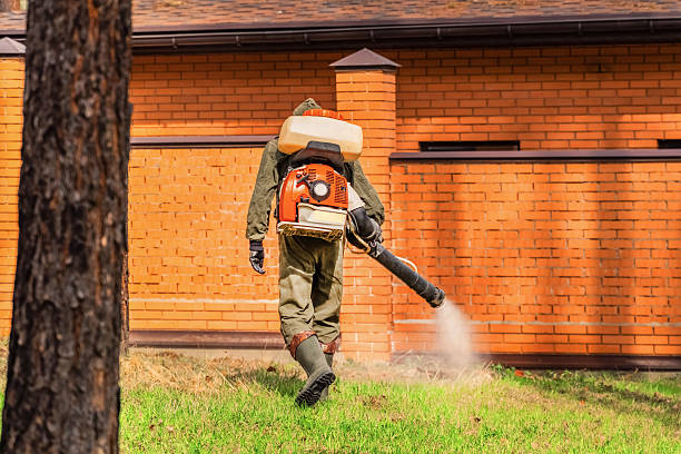 Trusted Bed Bug Control service in South San Jose Hills, CA - Nex Pest Control